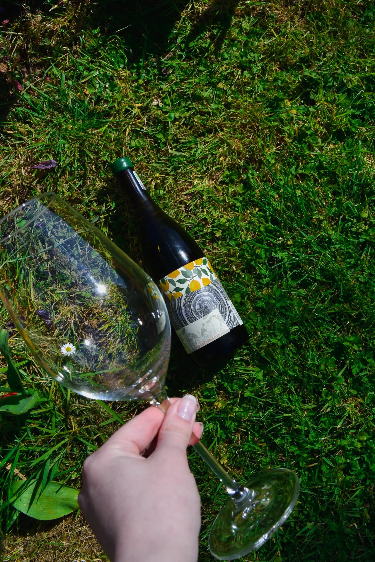 Wine enjoyed on the grass in The Mole Inn garden
