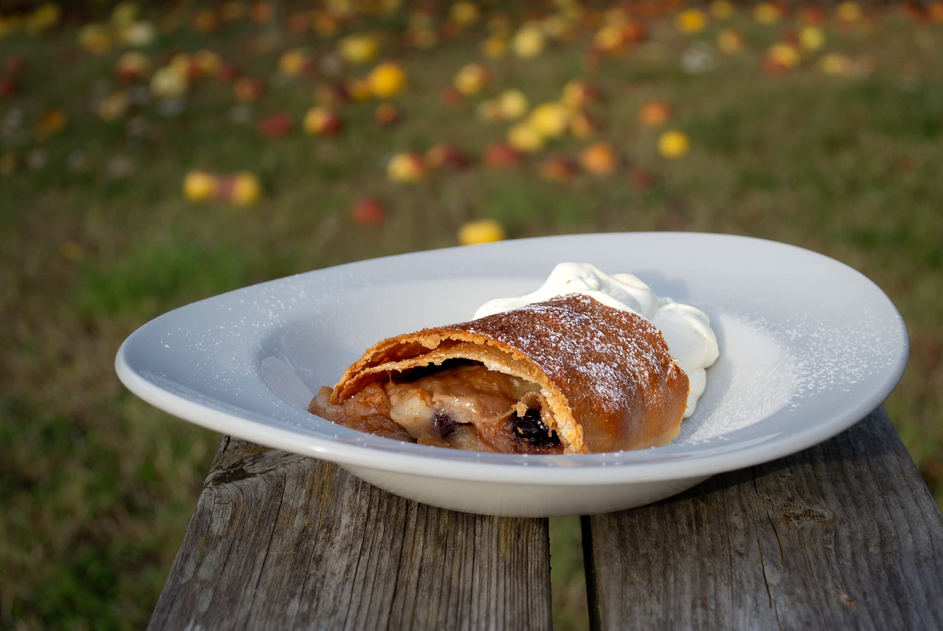 Warm apple strudel with cream in the orchard